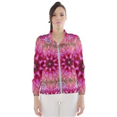 Flower Mandala Art Pink Abstract Women s Windbreaker by Simbadda