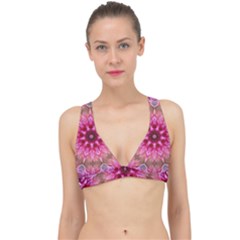 Flower Mandala Art Pink Abstract Classic Banded Bikini Top by Simbadda