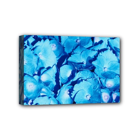 Hydrangea Blue Petals Flower Mini Canvas 6  X 4  (stretched) by Simbadda