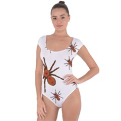 Insect Spider Wildlife Short Sleeve Leotard 