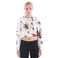 Insect Spider Wildlife Cropped Sweatshirt