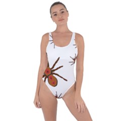 Insect Spider Wildlife Bring Sexy Back Swimsuit