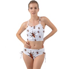 Insect Spider Wildlife Mini Tank Bikini Set