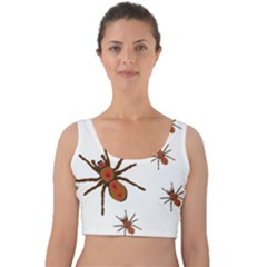 Insect Spider Wildlife Velvet Crop Top