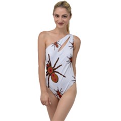 Insect Spider Wildlife To One Side Swimsuit