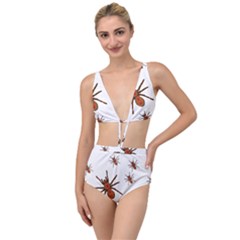 Insect Spider Wildlife Tied Up Two Piece Swimsuit