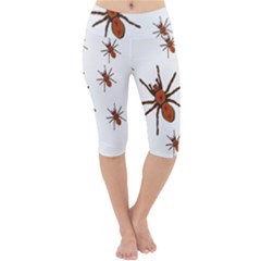 Insect Spider Wildlife Lightweight Velour Cropped Yoga Leggings by Mariart