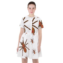 Insect Spider Wildlife Sailor Dress