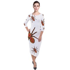 Insect Spider Wildlife Quarter Sleeve Midi Velour Bodycon Dress by Mariart