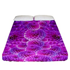 Nature Blossom Plant Flower Purple Petal Bloom Pattern Pollen Pink Flora Flowers Dahlia Design Beaut Fitted Sheet (california King Size) by Vaneshart