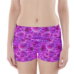 Nature Blossom Plant Flower Purple Petal Bloom Pattern Pollen Pink Flora Flowers Dahlia Design Beaut Boyleg Bikini Wrap Bottoms by Vaneshart