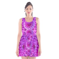 Nature Blossom Plant Flower Purple Petal Bloom Pattern Pollen Pink Flora Flowers Dahlia Design Beaut Scoop Neck Skater Dress by Vaneshart