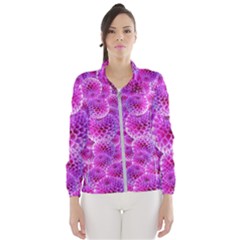 Nature Blossom Plant Flower Purple Petal Bloom Pattern Pollen Pink Flora Flowers Dahlia Design Beaut Women s Windbreaker by Vaneshart