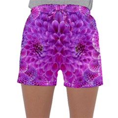 Nature Blossom Plant Flower Purple Petal Bloom Pattern Pollen Pink Flora Flowers Dahlia Design Beaut Sleepwear Shorts by Vaneshart