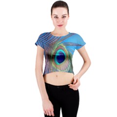 Nature Bird Wing Texture Animal Male Wildlife Decoration Pattern Line Green Color Blue Colorful Crew Neck Crop Top by Vaneshart