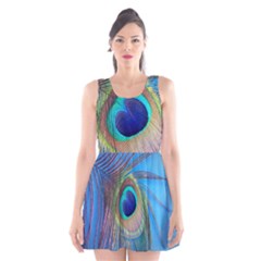 Nature Bird Wing Texture Animal Male Wildlife Decoration Pattern Line Green Color Blue Colorful Scoop Neck Skater Dress by Vaneshart