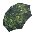 Plant Leaf Flower Green Produce Vegetable Botany Flora Cabbage Macro Photography Flowering Plant Folding Umbrellas View2