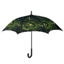 Plant Leaf Flower Green Produce Vegetable Botany Flora Cabbage Macro Photography Flowering Plant Hook Handle Umbrellas (Large) View3