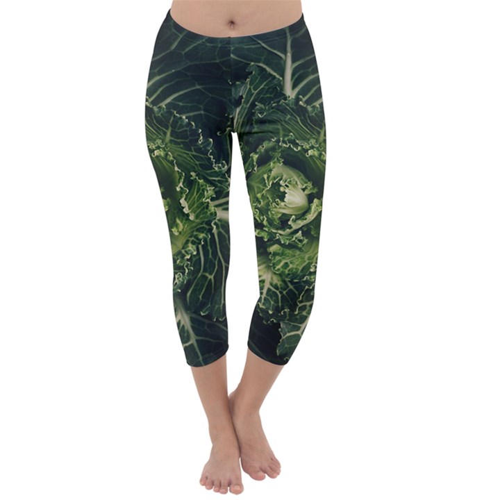 Plant Leaf Flower Green Produce Vegetable Botany Flora Cabbage Macro Photography Flowering Plant Capri Winter Leggings 