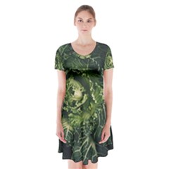 Plant Leaf Flower Green Produce Vegetable Botany Flora Cabbage Macro Photography Flowering Plant Short Sleeve V-neck Flare Dress by Vaneshart