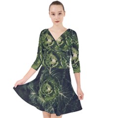 Plant Leaf Flower Green Produce Vegetable Botany Flora Cabbage Macro Photography Flowering Plant Quarter Sleeve Front Wrap Dress by Vaneshart