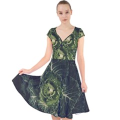 Plant Leaf Flower Green Produce Vegetable Botany Flora Cabbage Macro Photography Flowering Plant Cap Sleeve Front Wrap Midi Dress by Vaneshart