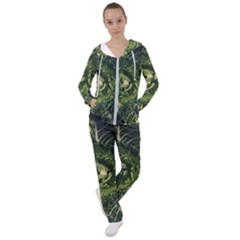 Plant Leaf Flower Green Produce Vegetable Botany Flora Cabbage Macro Photography Flowering Plant Women s Tracksuit