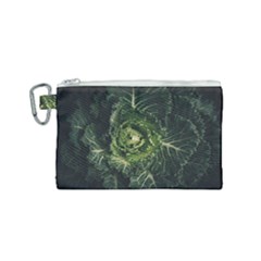 Plant Leaf Flower Green Produce Vegetable Botany Flora Cabbage Macro Photography Flowering Plant Canvas Cosmetic Bag (small) by Vaneshart