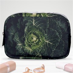 Plant Leaf Flower Green Produce Vegetable Botany Flora Cabbage Macro Photography Flowering Plant Make Up Pouch (small) by Vaneshart