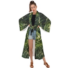 Plant Leaf Flower Green Produce Vegetable Botany Flora Cabbage Macro Photography Flowering Plant Maxi Kimono