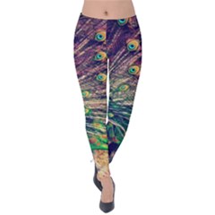 Bird Biology Fauna Material Chile Peacock Plumage Feathers Symmetry Vertebrate Peafowl Velvet Leggings by Vaneshart