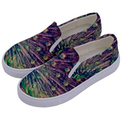 Bird Biology Fauna Material Chile Peacock Plumage Feathers Symmetry Vertebrate Peafowl Kids  Canvas Slip Ons by Vaneshart