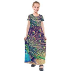 Bird Biology Fauna Material Chile Peacock Plumage Feathers Symmetry Vertebrate Peafowl Kids  Short Sleeve Maxi Dress by Vaneshart