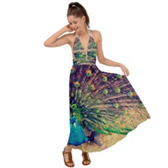 Bird Biology Fauna Material Chile Peacock Plumage Feathers Symmetry Vertebrate Peafowl Backless Maxi Beach Dress