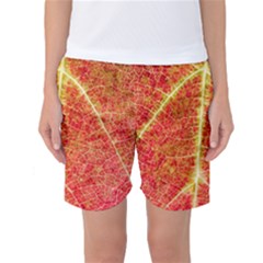 Plant Vineyard Wine Sunlight Texture Leaf Pattern Green Red Color Macro Autumn Circle Vein Sunny  Women s Basketball Shorts by Vaneshart