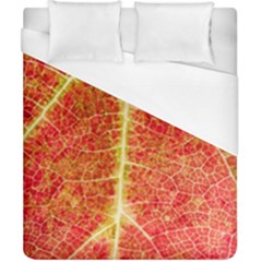 Plant Vineyard Wine Sunlight Texture Leaf Pattern Green Red Color Macro Autumn Circle Vein Sunny  Duvet Cover (california King Size) by Vaneshart