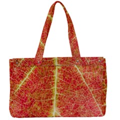 Plant Vineyard Wine Sunlight Texture Leaf Pattern Green Red Color Macro Autumn Circle Vein Sunny  Canvas Work Bag by Vaneshart