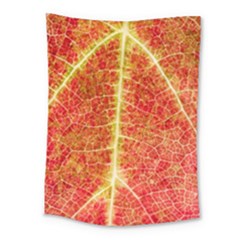 Plant Vineyard Wine Sunlight Texture Leaf Pattern Green Red Color Macro Autumn Circle Vein Sunny  Medium Tapestry by Vaneshart