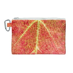 Plant Vineyard Wine Sunlight Texture Leaf Pattern Green Red Color Macro Autumn Circle Vein Sunny  Canvas Cosmetic Bag (large)