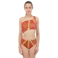 Plant Vineyard Wine Sunlight Texture Leaf Pattern Green Red Color Macro Autumn Circle Vein Sunny  Spliced Up Two Piece Swimsuit by Vaneshart