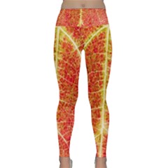 Plant Vineyard Wine Sunlight Texture Leaf Pattern Green Red Color Macro Autumn Circle Vein Sunny  Lightweight Velour Classic Yoga Leggings by Vaneshart