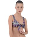 Textile Fabric Cloth Pattern Front Tie Bikini Top View1