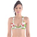 Watermelon Juice Auglis Clip Art Watermelon Plunge Bikini Top View1