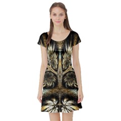 Roots Abstract Sectors Layers Colors Short Sleeve Skater Dress by Vaneshart