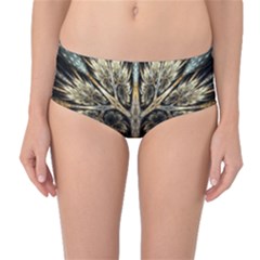 Roots Abstract Sectors Layers Colors Mid-waist Bikini Bottoms by Vaneshart