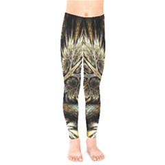 Roots Abstract Sectors Layers Colors Kids  Legging by Vaneshart