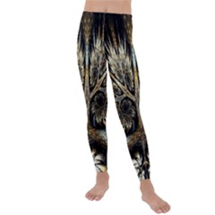 Roots Abstract Sectors Layers Colors Kids  Lightweight Velour Leggings by Vaneshart