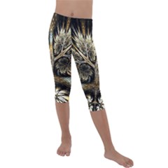 Roots Abstract Sectors Layers Colors Kids  Lightweight Velour Capri Leggings  by Vaneshart