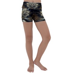 Roots Abstract Sectors Layers Colors Kids  Lightweight Velour Yoga Shorts by Vaneshart