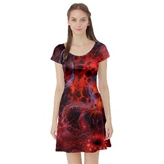 Art Space Abstract Red Line Short Sleeve Skater Dress by Vaneshart